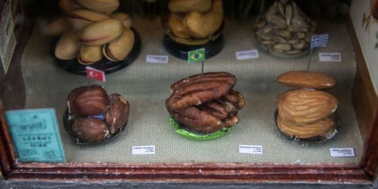 Все, что мышиной душе угодно: в Швеции неизвестный открыл магазины для грызунов