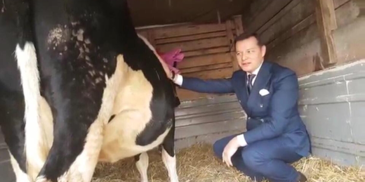 На день рождения Ляшко подарили корову