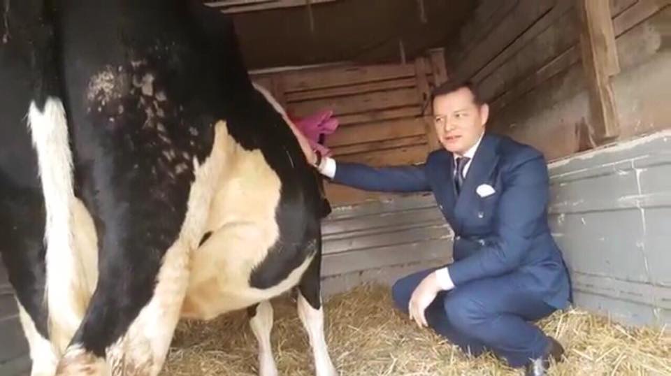 На день рождения Ляшко подарили корову 1