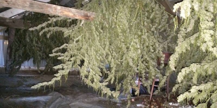 В Баштанке у мужчины нашли и килограмм наркотиков, и патроны