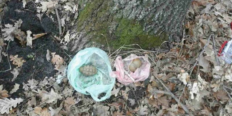 Возле одного из сёл Николаевской области полицейские нашли тайник с двумя гранатами – информация СБУ подтвердилась