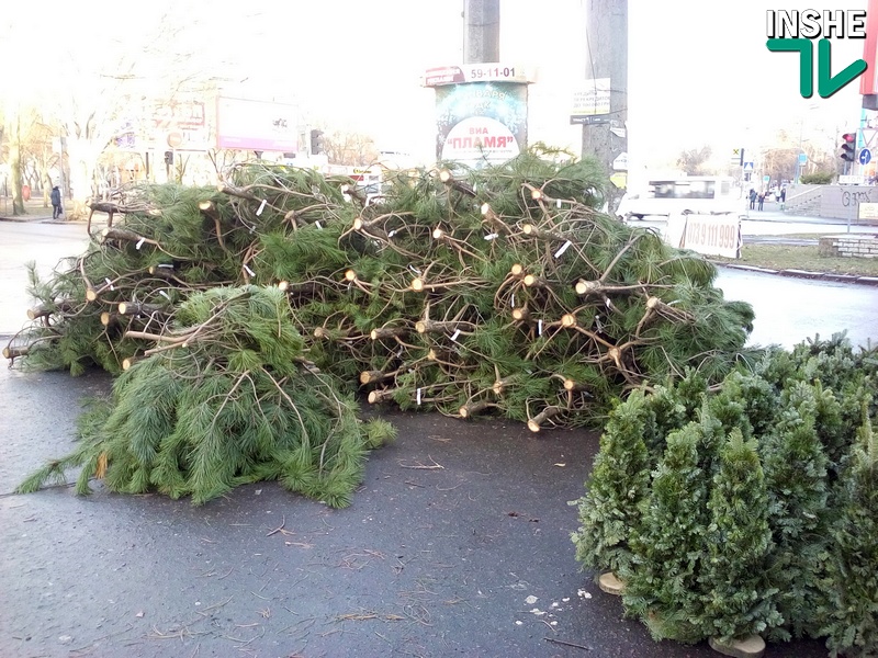 В Николаеве определили места для продажи новогодних елок – город не получит плату за использование земли 1