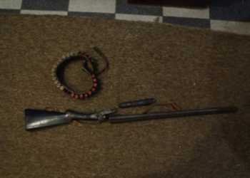 Не смог остановиться? В Братском районе 30-летний решил пострелять собак и подстрелил соседа