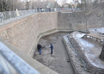 Трагедия в Николаевском зоопарке: полиция открыла уголовное производство