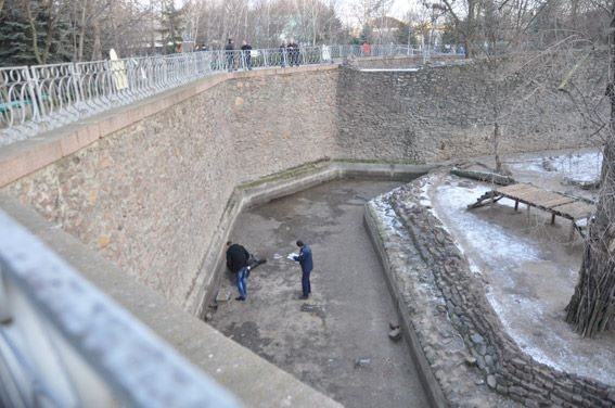 Трагедия в Николаевском зоопарке: полиция открыла уголовное производство