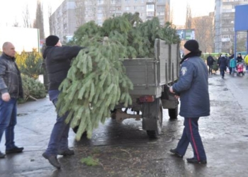 В Николаеве полиция прошлась по стихийным рынкам. «Улов» неплох