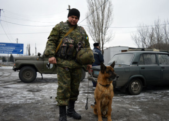 И снова умница Дик: николаевский полицейский со своим псом не дали киевлянину провезти оружие, «найденное» у Марьинки