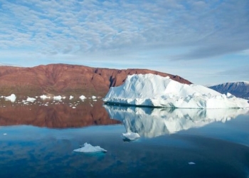В Антарктиде тает лёд: «обнажилась территория размером с Индию