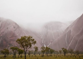 В Австралии из-за рекордных осадков закрыли популярный нацпарк