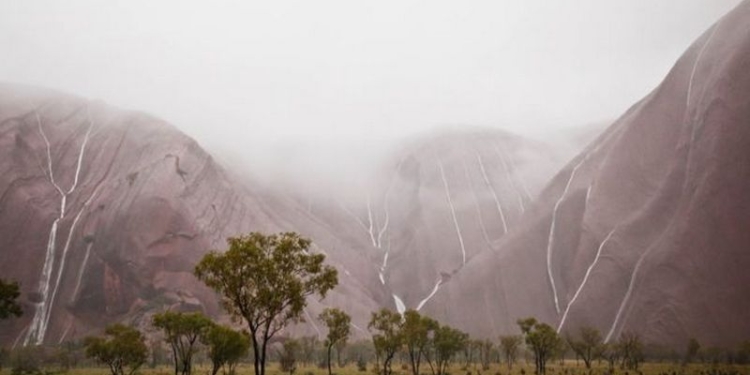 В Австралии из-за рекордных осадков закрыли популярный нацпарк