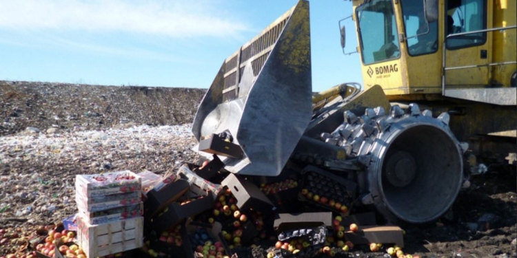 Сколько еды уничтожили в РФ за время эмбарго