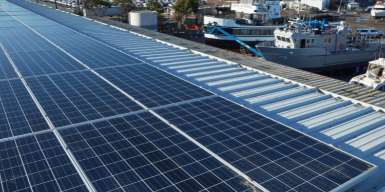 Будущее судостроения  – солнечное. Как эта верфь на солнечной энергии