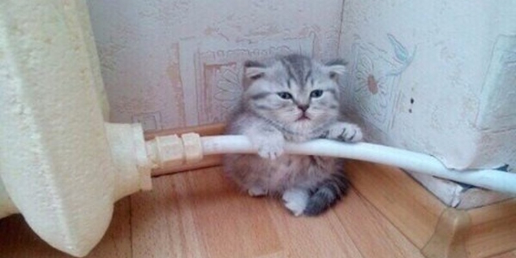 Циня сняла порчу с золотыми сережками и получила 2,5 года тюрьмы