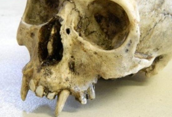 Страшно, аж жуть. В Польше отрыли древние могилы вурдалаков – XIII – XIV веков