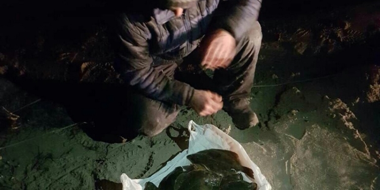 Это таки глосик: в Очаковском районе задержали браконьера