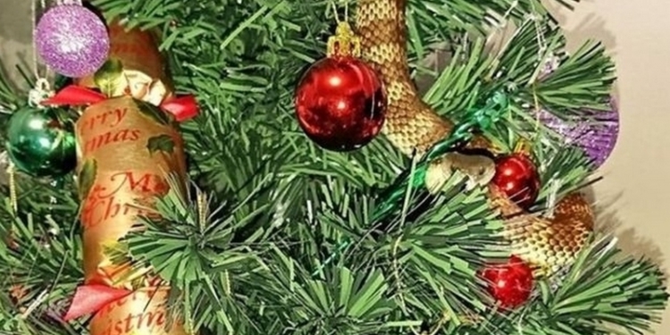 В Австралии ядовитая змея заползла в дом и притворилась гирляндой на рождественской елке