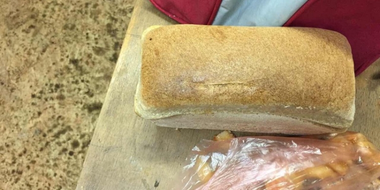 Не буханка хлеба, а просто клад какой-то: из-за собаки через украинскую границу наркотики провезти не удалось