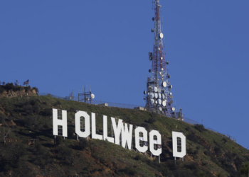 По следам шутки: превративший надпись «Голливуд» в «святую марихуану» был арестован, а потом вышел под залог