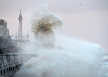 Великобритании прогнозируют зимний шторм: ветер уже успел натворить дел – валил деревья, угрожал самолетам и авто