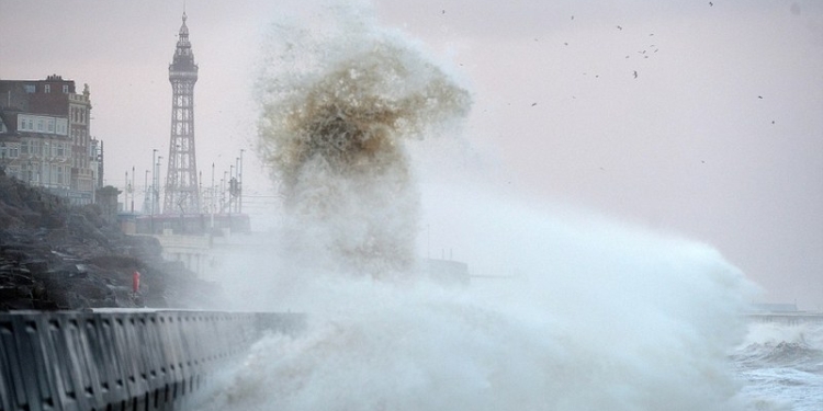 Великобритании прогнозируют зимний шторм: ветер уже успел натворить дел – валил деревья, угрожал самолетам и авто