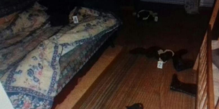 В Николаевской области задержали мужчину, изнасиловавшего 13-летнюю девочку