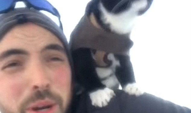 Американец решил съехать со снежной горки с котом на плече