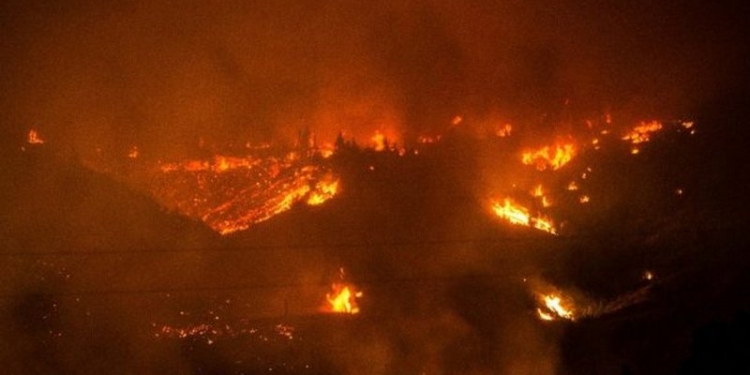 В Чили масштабные лесные пожары – 10 человек погибли, полностью уничтожен маленький городок