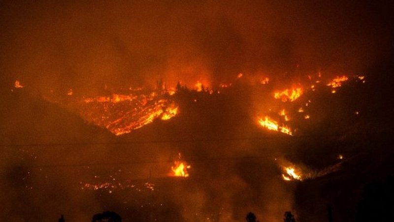 В Чили масштабные лесные пожары – 10 человек погибли, полностью уничтожен маленький городок 5