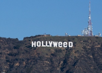Пошутили: в знаменитую надпись «Голливуд» в новогоднюю ночь были «внесены изменения»