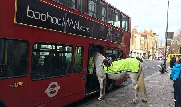 Коням нельзя! В Лондоне полицейская лошадь пыталась сесть в двухэтажный автобус