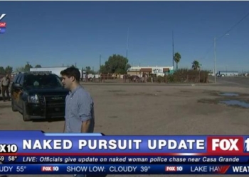 В Аризоне голая женщина угнала полицейский пикап