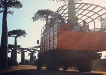 Свадебный кортеж упал в реку: погибло 45 человек