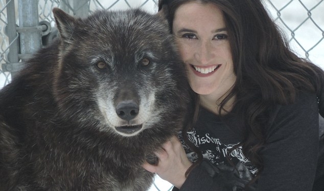 С волками жить… В США жертва изнасилования, умирающая от анорексии, выздоровела благодаря стае волков