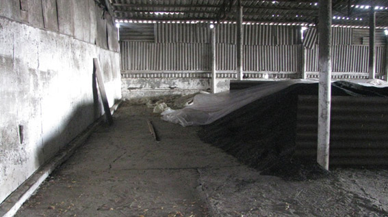 За два месяца со склада в Казанковском районе вывезли более 2 тонн подсолнечника