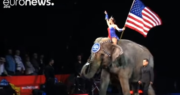 Слонов – на пенсию. В США защитники прав животных закрыли старейший в стране цирк