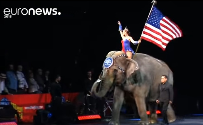 Слонов - на пенсию. В США защитники прав животных закрыли старейший в стране цирк 1