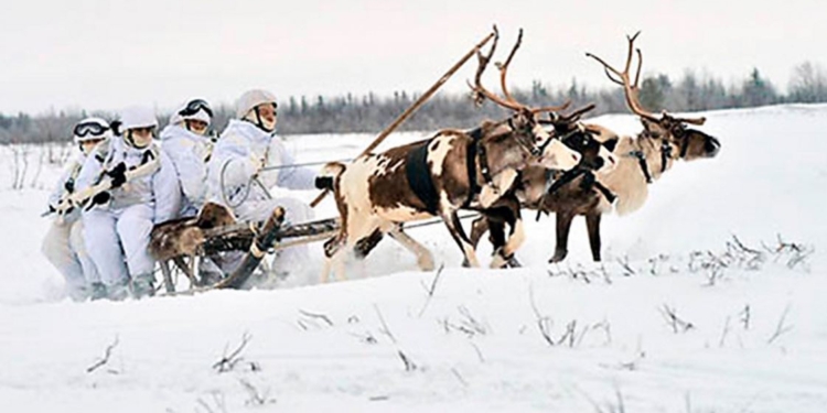 Военные РФ готовятся воевать в Арктике – уже запрягли собак и оленей