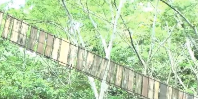 80 метров над пропастью. В Колумбии оборвался подвесной мост, 11 погибших, много раненых