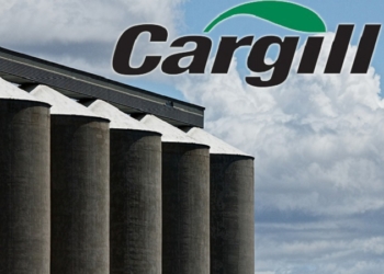 Карго обвиняет АМПУ. Строительство зернового терминала Cargill в Южном под угрозой срыва