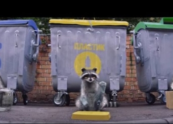 Интересно, а снегом они не занимаются: еноты-барабанщики учат сортировать мусор