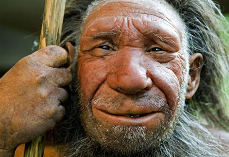 Неандертальцы занимались коллекционированием - исследование 1