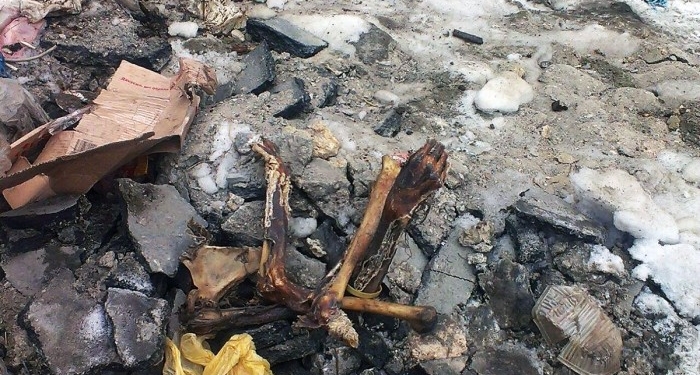 В Одессе под Потемкинской лестницей нашли скелет