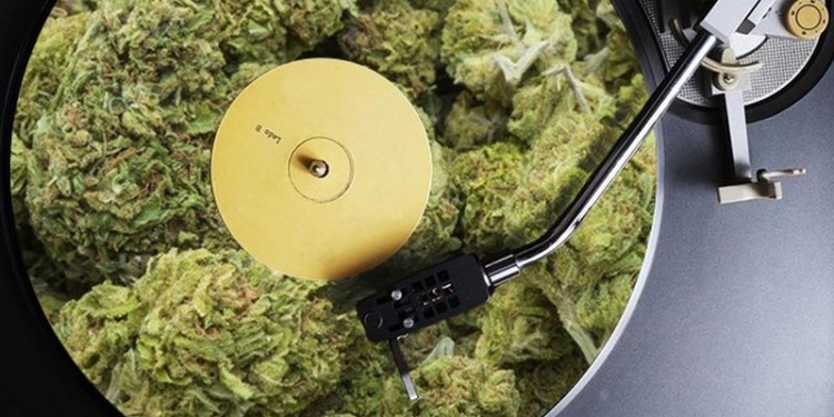 Американская рок-группа выпустила пластинку, сделанную из марихуаны – её можно скурить