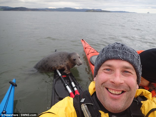 Незваный гость: тюлень чуть не потопил каяк туриста неподалеку от берегов Шотландии 1