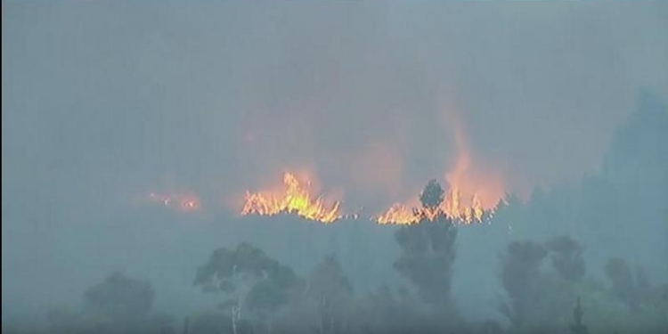 В Новой Зеландии горят леса