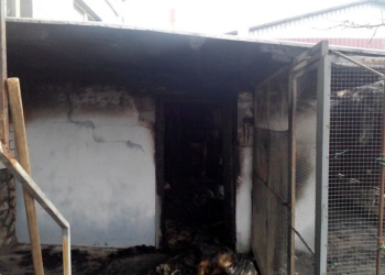 На Николаевщине горела очередная хозпостройка