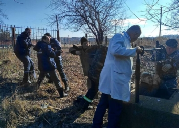 В Первомайске 44-летний мужчина упал в пятиметровый колодец