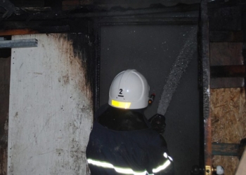 Пылало жарко: в Николаеве хозпостройку тушили 10 спасателей