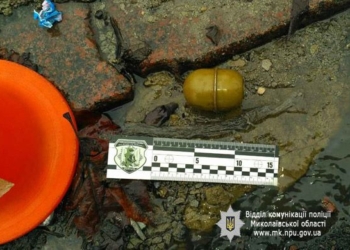 В Николаеве на проезжей части валялась граната