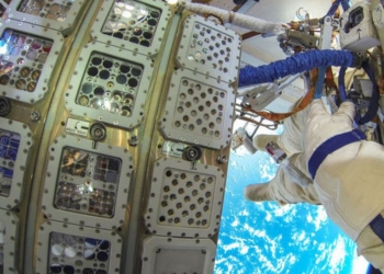 Земные водоросли прожили более года в открытом космосе